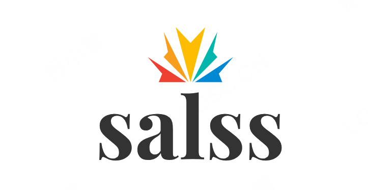 salss-gmbh.de